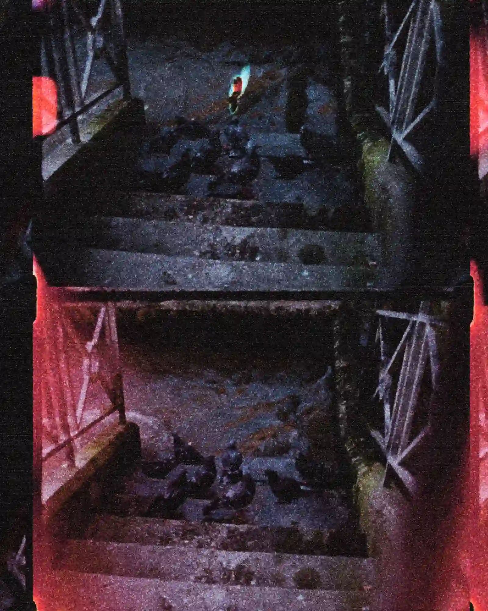 Burning Pigeons