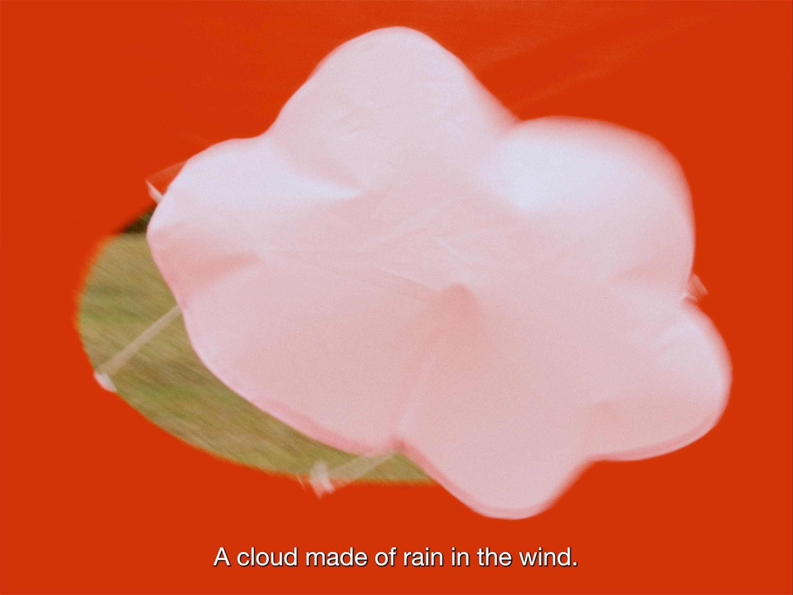 A Cloud Made of Rain in the Wind
