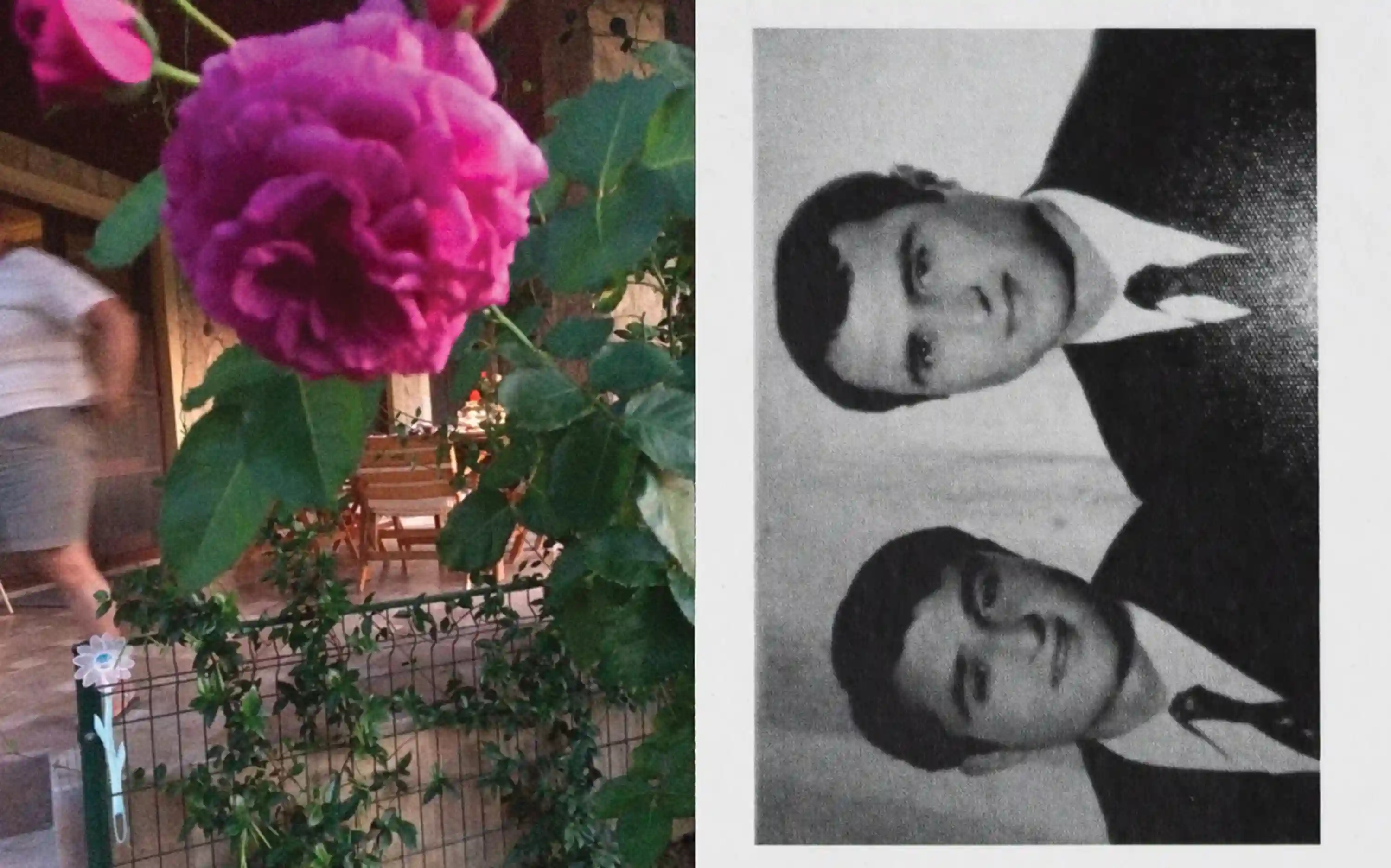 My Dad's Photos