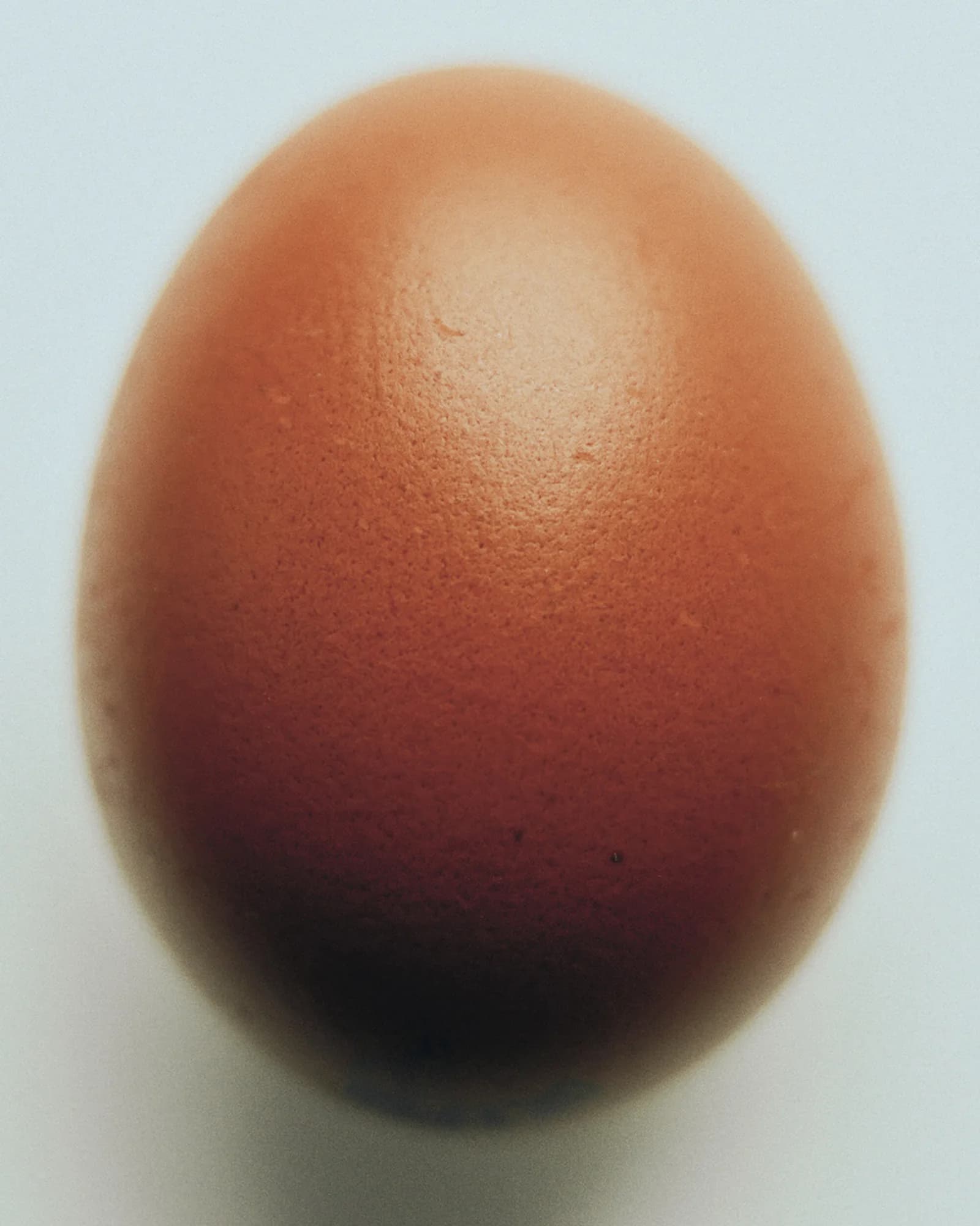 Egg