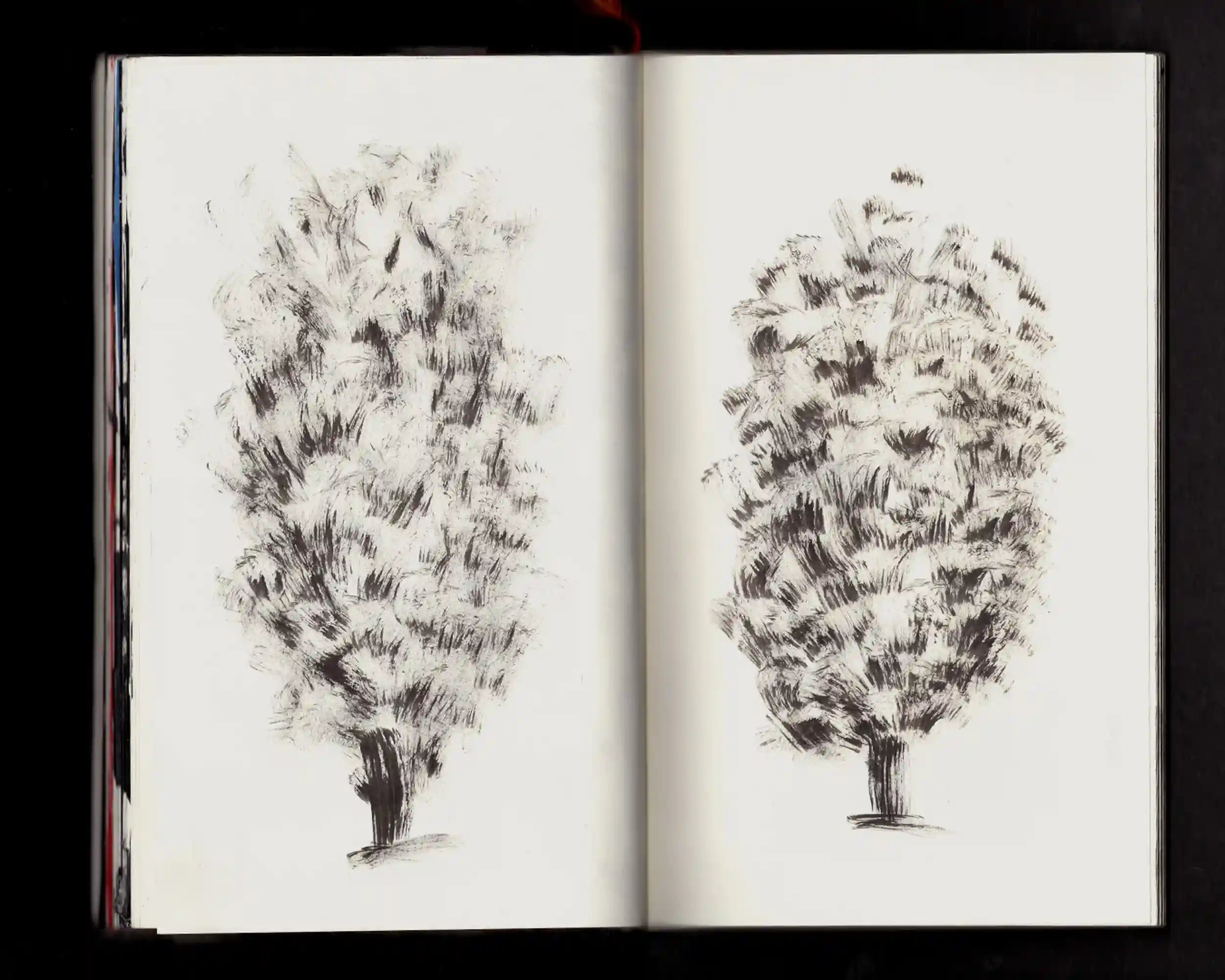 Trees