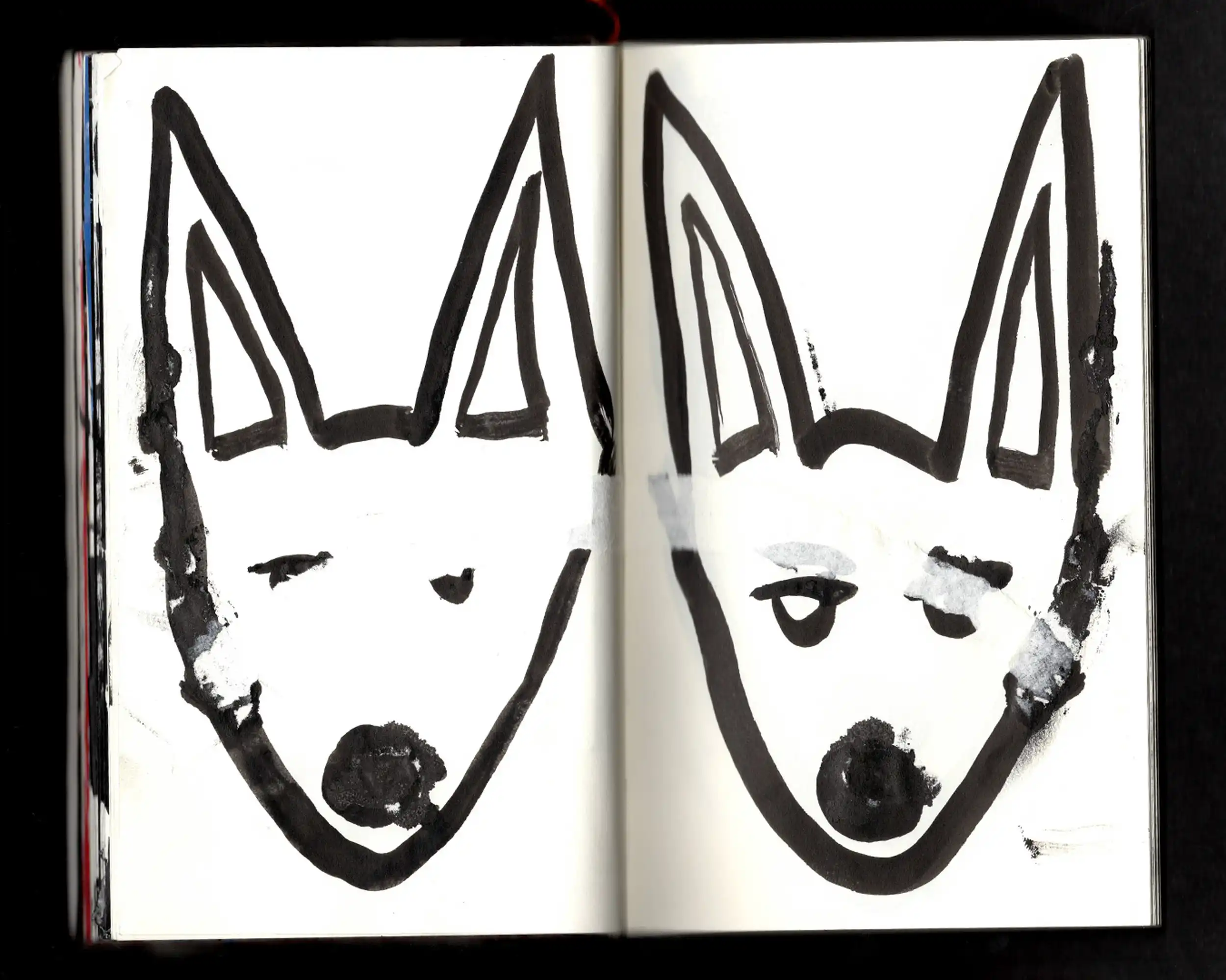 Jackal