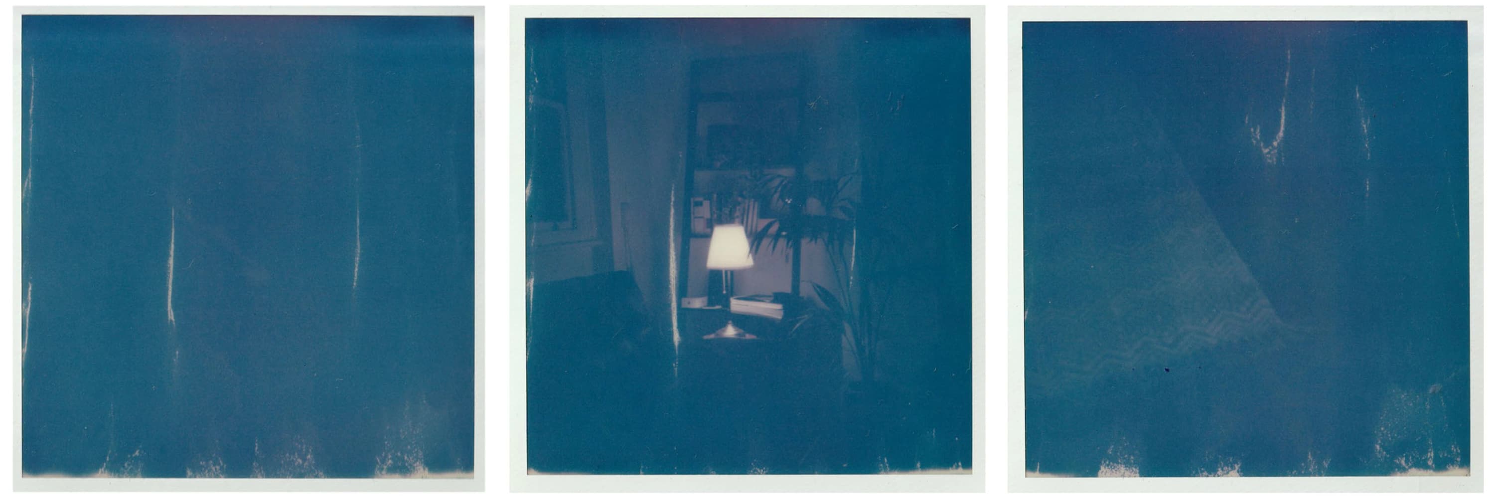 Polaroid