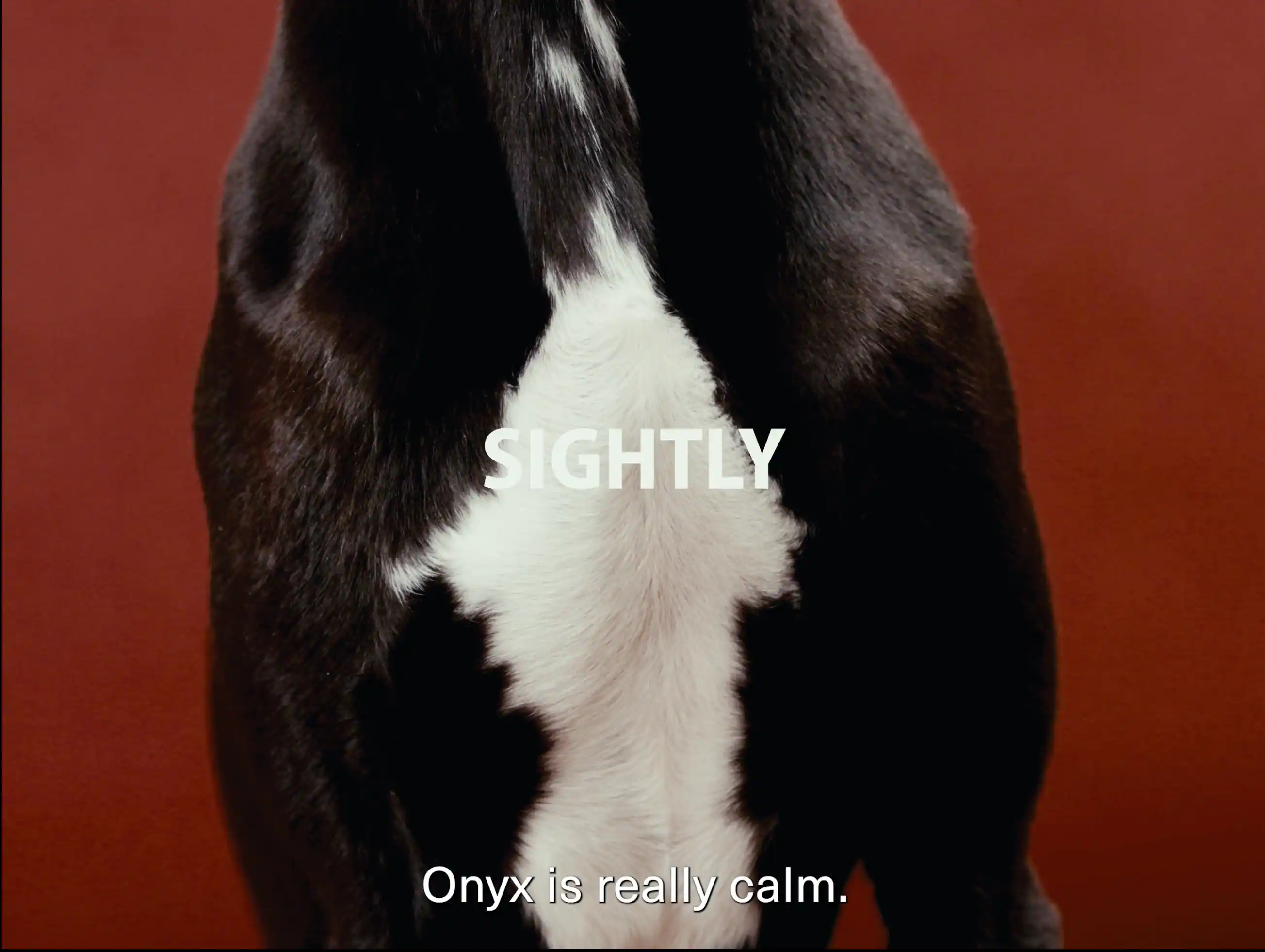 Sightly