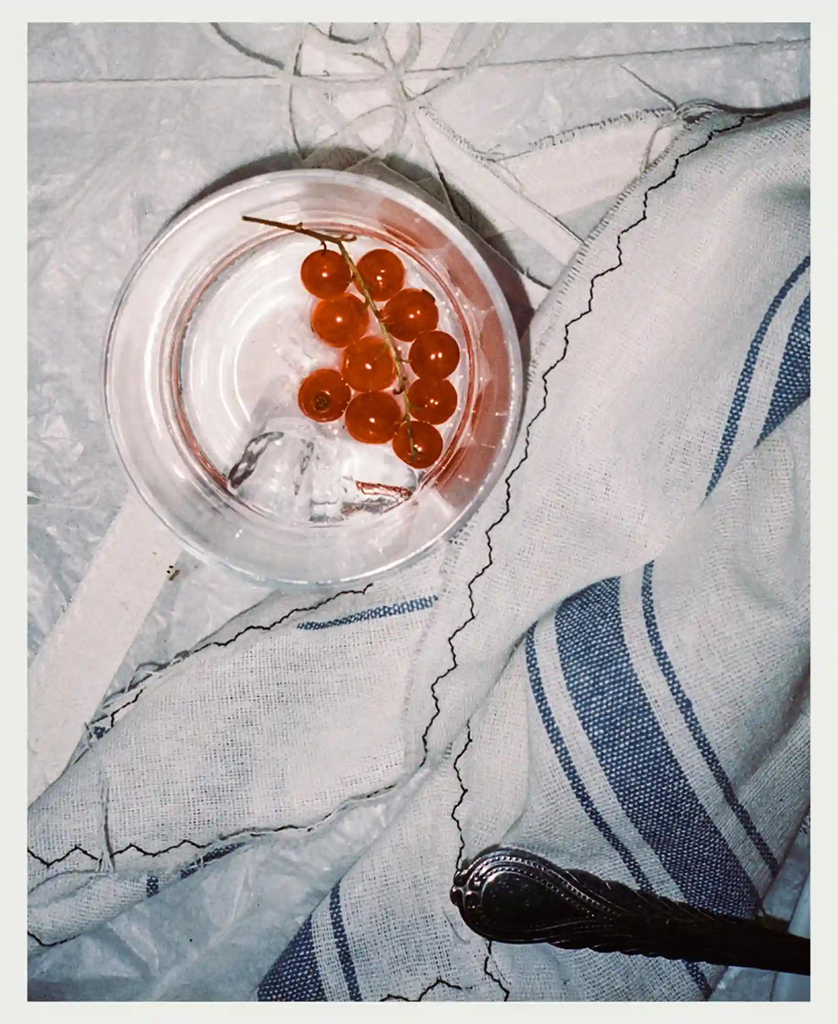 Untitled Dinner